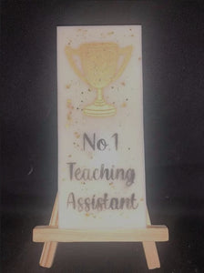 No.1 teaching assistant