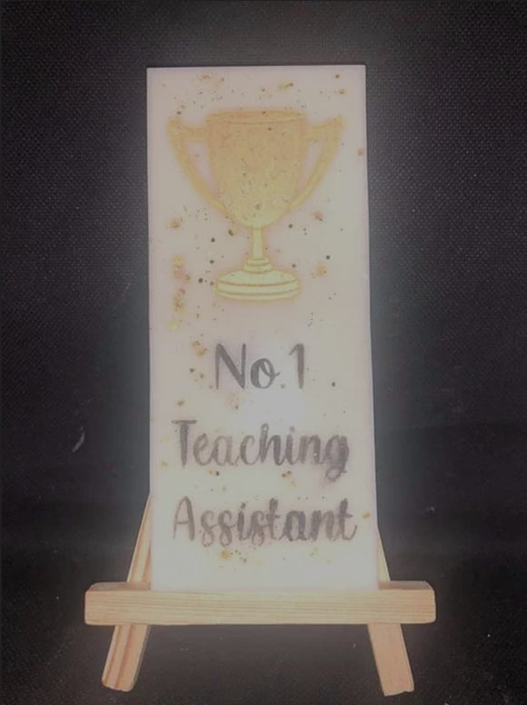 No.1 teaching assistant